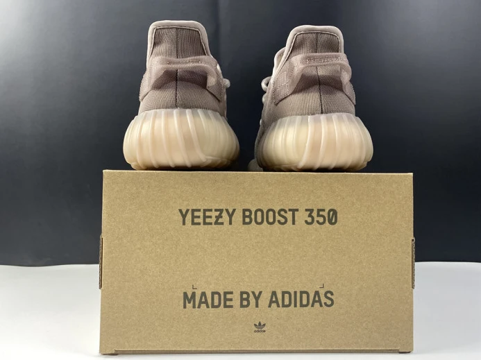 Adidas Yeezy Boost 350 V2 Mono Mist GW WellDesigned 308