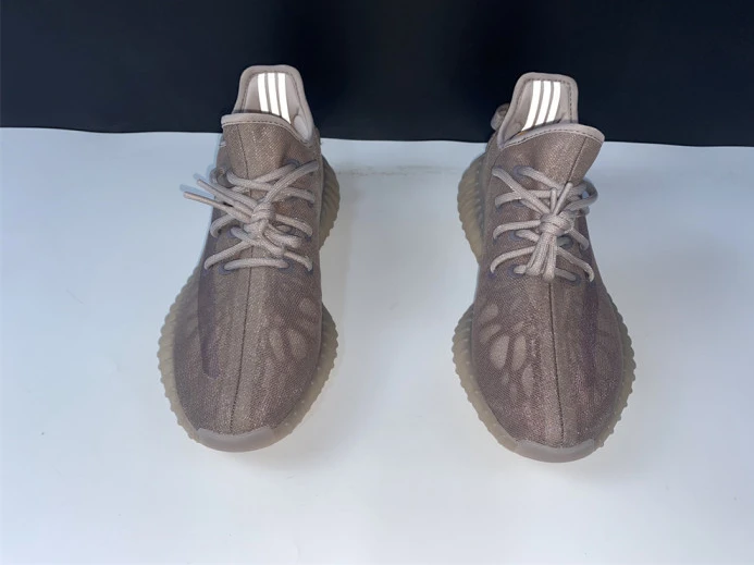 Adidas Yeezy Boost 350 V2 Mono Mist GW WellDesigned 308
