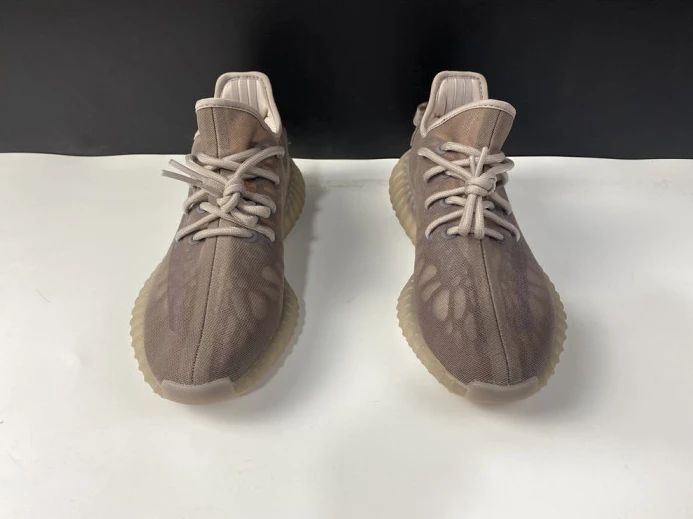 Adidas Yeezy Boost 350 V2 Mono Mist GW WellDesigned 308
