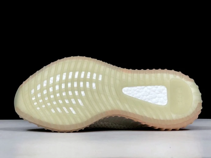 Adidas Yeezy Boost 350 V2 True Form EG WellDesigned 456