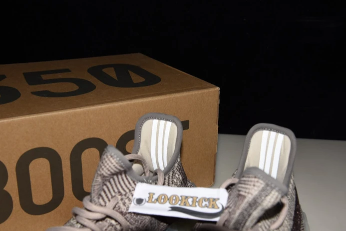 Adidas Yeezy Boost 350 V2 Zyon FZ Popular 436
