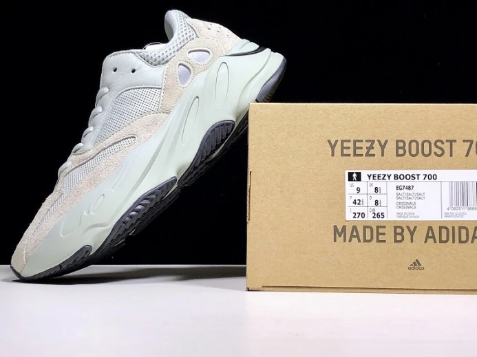 Adidas Yeezy Boost 700 v2 Salt EG EasyMatch 472