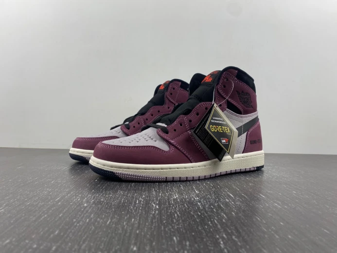 Air Jordan 1 Element Gore-Tex DB2889- AllSeason 741