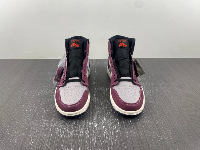 Air Jordan 1 Element Gore-Tex DB2889- AllSeason 741