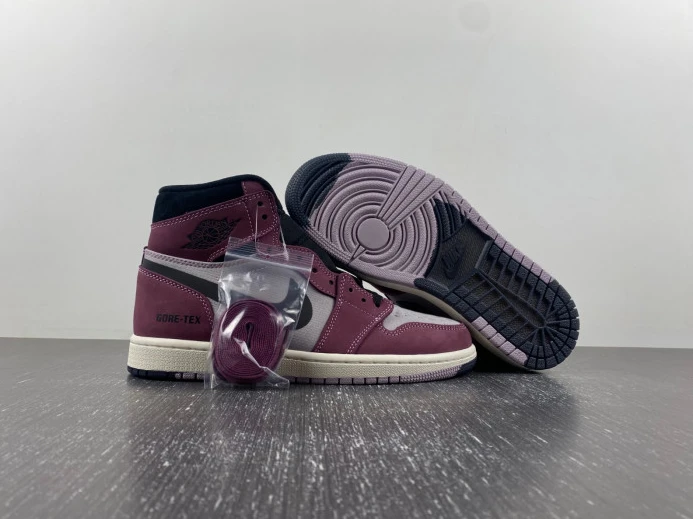 Air Jordan 1 Element Gore-Tex DB2889- AllSeason 741