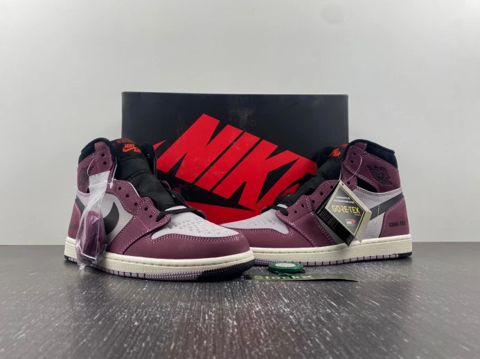 Air Jordan 1 Element Gore-Tex DB2889- AllSeason 741