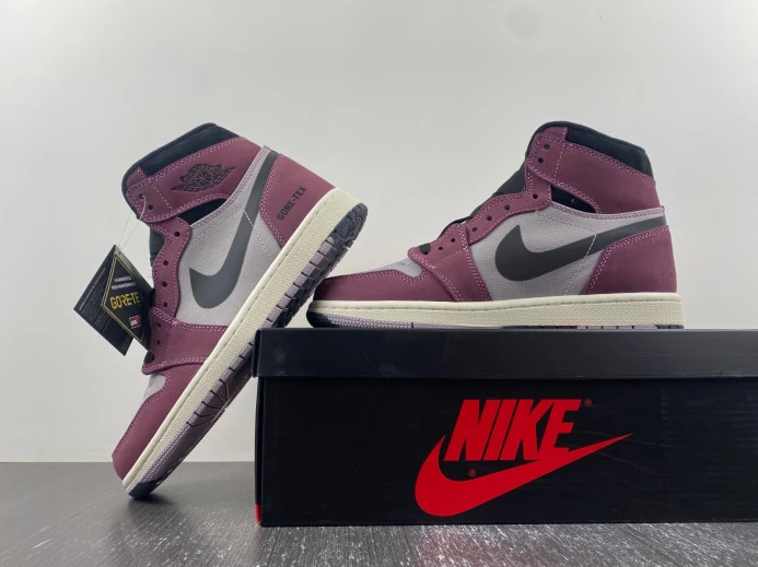 Air Jordan 1 Element Gore-Tex DB2889- AllSeason 741