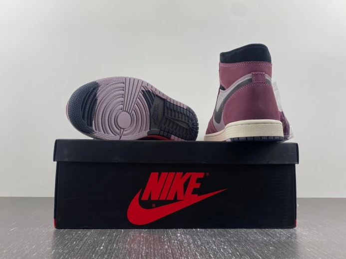 Air Jordan 1 Element Gore-Tex DB2889- AllSeason 741