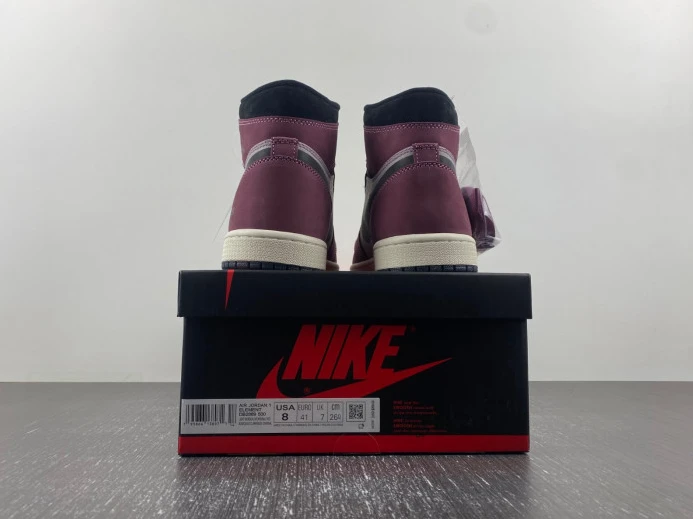 Air Jordan 1 Element Gore-Tex DB2889- AllSeason 741