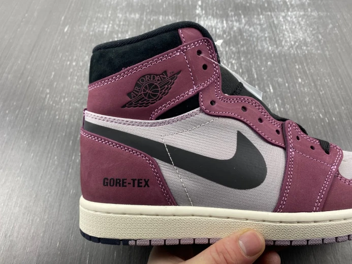 Air Jordan 1 Element Gore-Tex DB2889- AllSeason 741