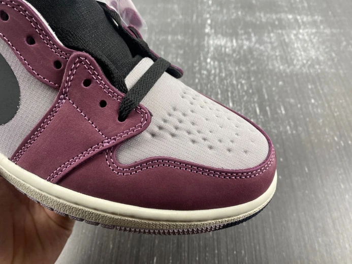 Air Jordan 1 Element Gore-Tex DB2889- AllSeason 741
