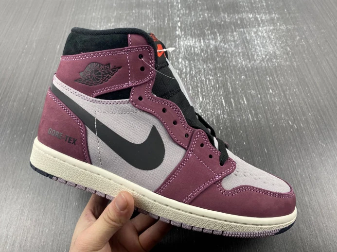 Air Jordan 1 Element Gore-Tex DB2889- AllSeason 741