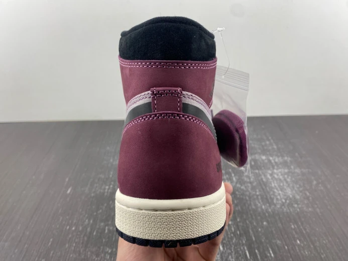Air Jordan 1 Element Gore-Tex DB2889- AllSeason 741