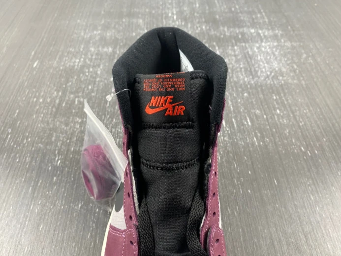 Air Jordan 1 Element Gore-Tex DB2889- AllSeason 741