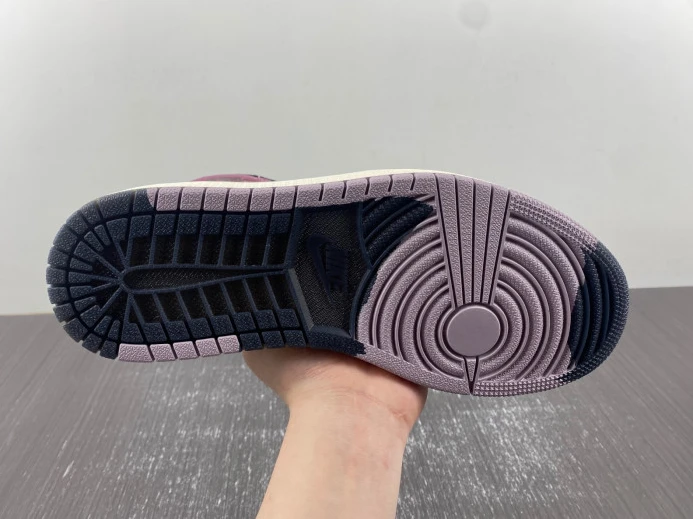 Air Jordan 1 Element Gore-Tex DB2889- AllSeason 741