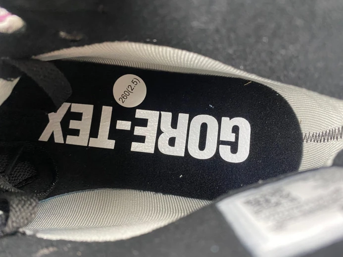 Air Jordan 1 Element Gore-Tex DB2889- AllSeason 741