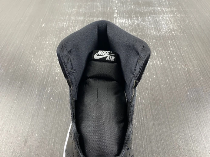 Air Jordan 1 High OG Reverse Panda DZ5485- WellDesigned 739