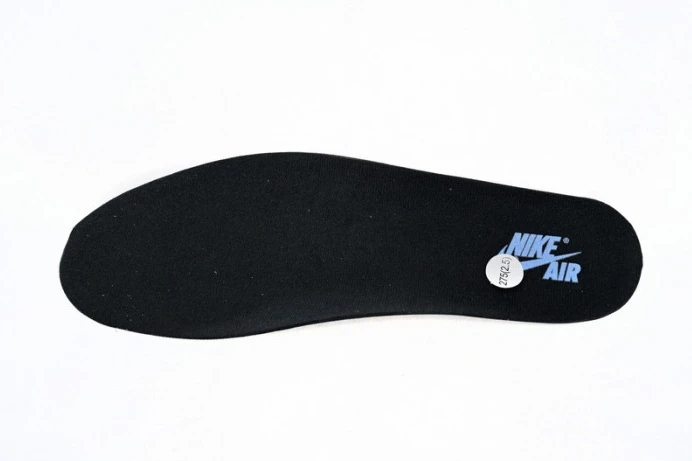 Air Jordan 1 High OG UNC Toe DZ5485- DailyWear 764