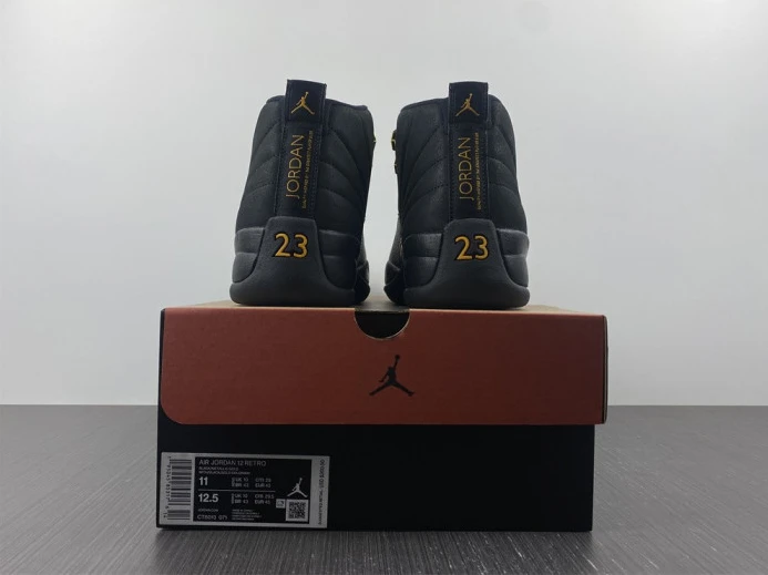 Air Jordan 12 Black Taxi CT8013- EasyMatch 702