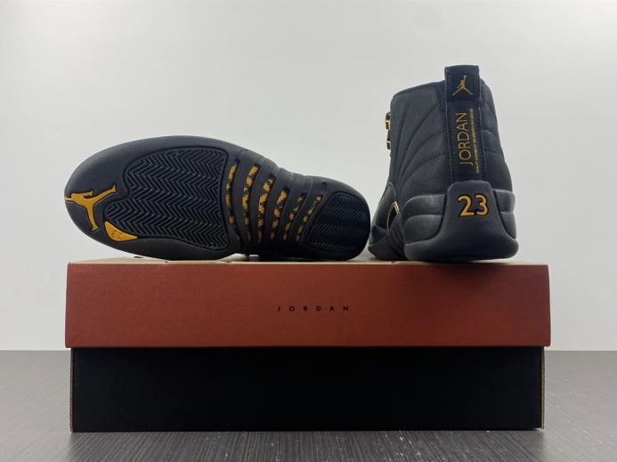 Air Jordan 12 Black Taxi CT8013- EasyMatch 702