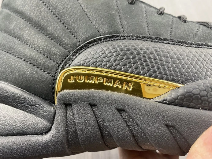 Air Jordan 12 Black Taxi CT8013- EasyMatch 702