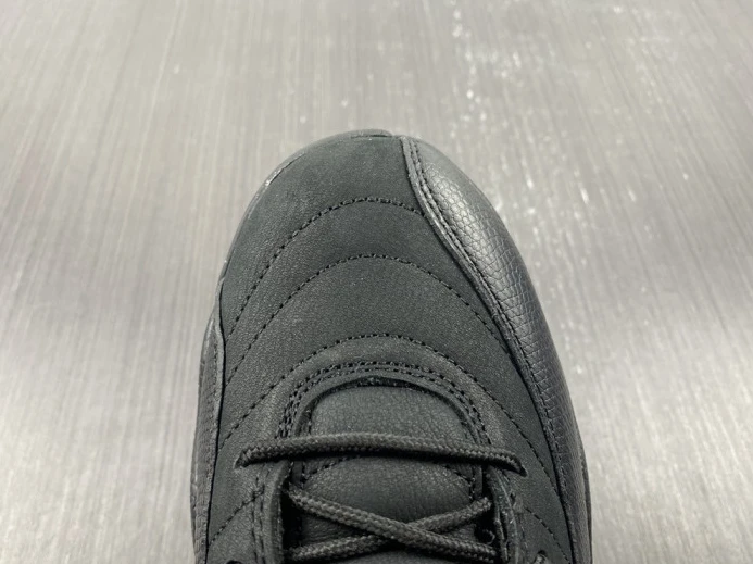 Air Jordan 12 Black Taxi CT8013- EasyMatch 702