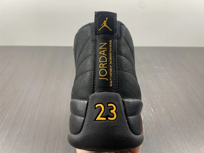 Air Jordan 12 Black Taxi CT8013- EasyMatch 702