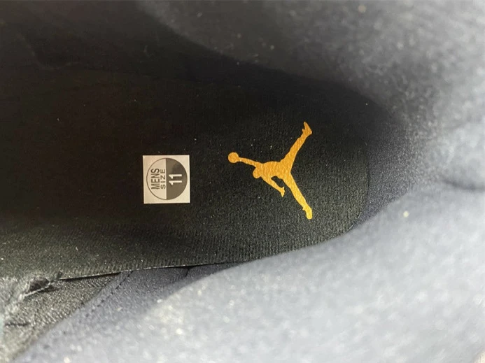 Air Jordan 12 Black Taxi CT8013- EasyMatch 702