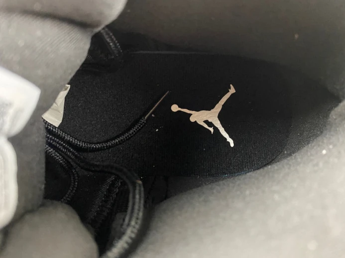 Air Jordan 12 Black Wolf Grey CT8013- SportInspired 658