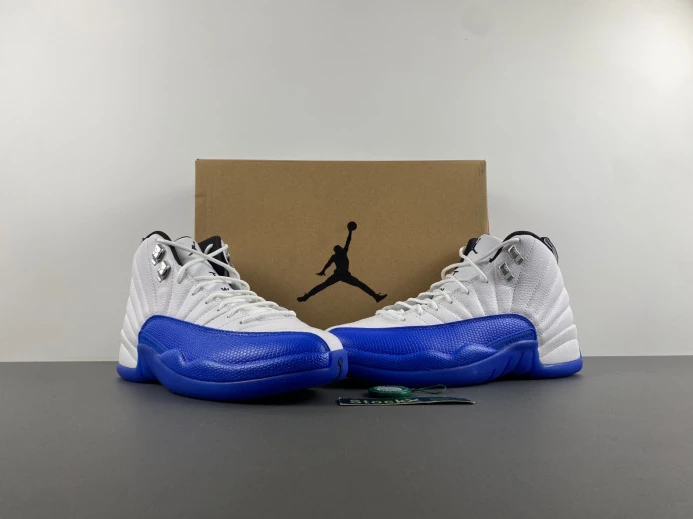 Air Jordan 12 Blueberry CT8013- Fashionable 655
