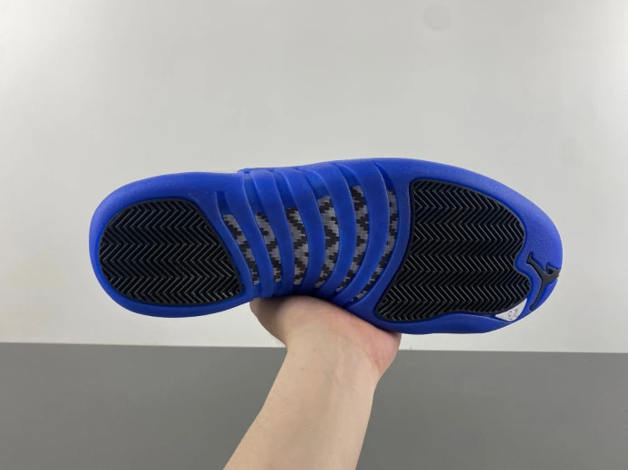 Air Jordan 12 Blueberry CT8013- Fashionable 655