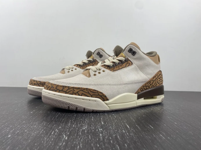Air Jordan 3 Palomino CT8532- TopPick 518