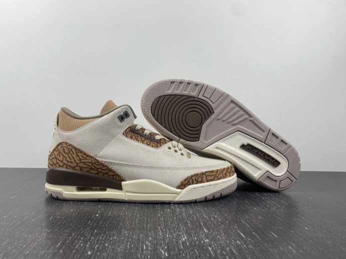 Air Jordan 3 Palomino CT8532- TopPick 518