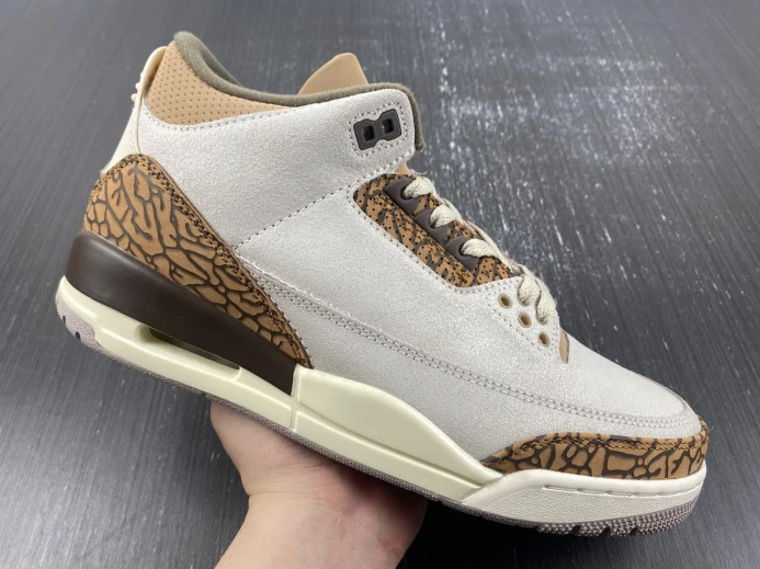 Air Jordan 3 Palomino CT8532- TopPick 518