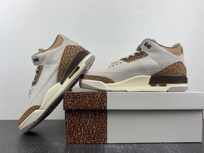Air Jordan 3 Palomino CT8532- TopPick 518