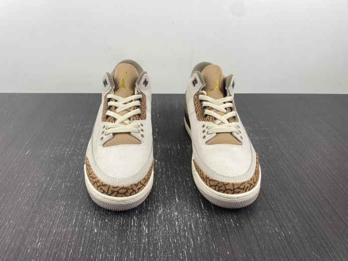 Air Jordan 3 Palomino CT8532- TopPick 518