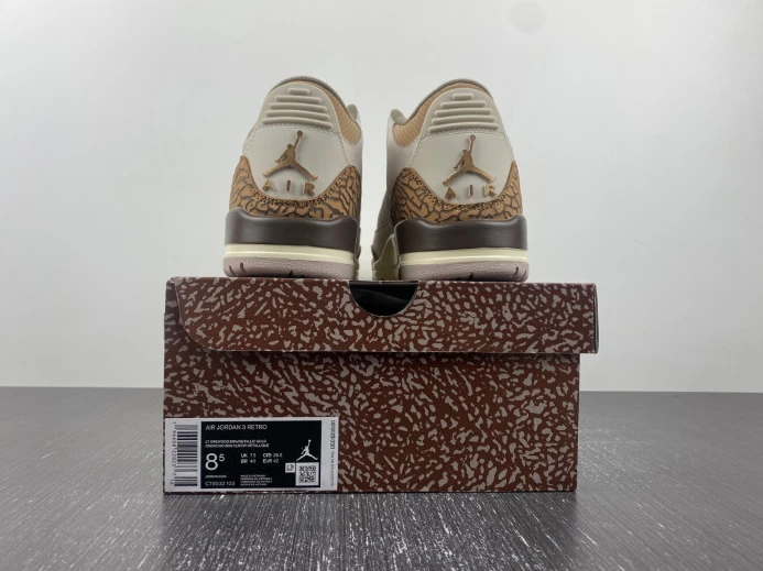 Air Jordan 3 Palomino CT8532- TopPick 518