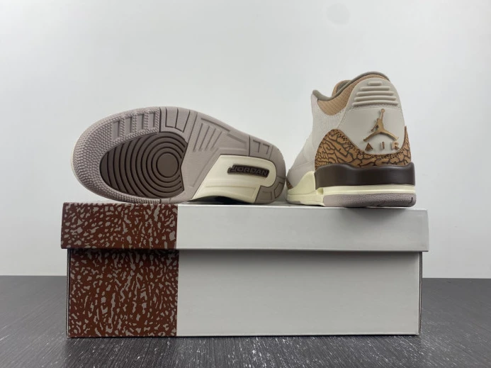 Air Jordan 3 Palomino CT8532- TopPick 518