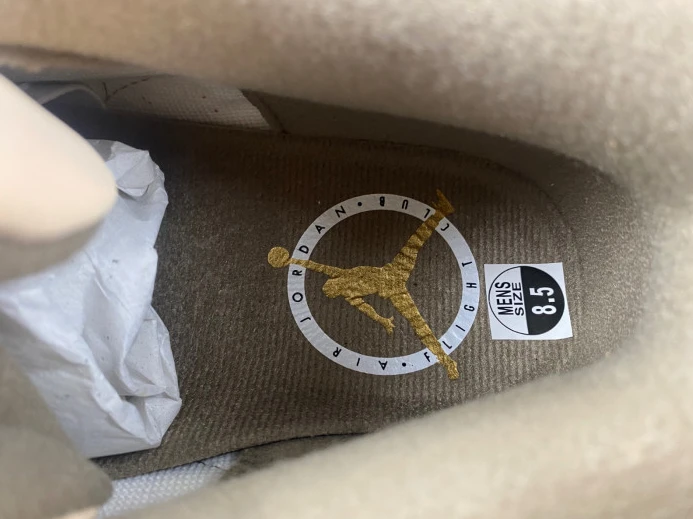 Air Jordan 3 Palomino CT8532- TopPick 518