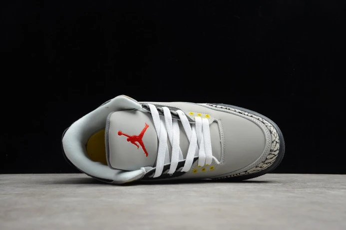 Air Jordan 3 Retro Cool Grey (2021) CT8532- StreetReady 959