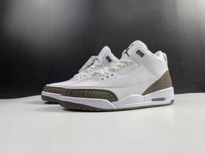 Air Jordan 3 Retro Mocha (2018) 136064- DailyWear 955
