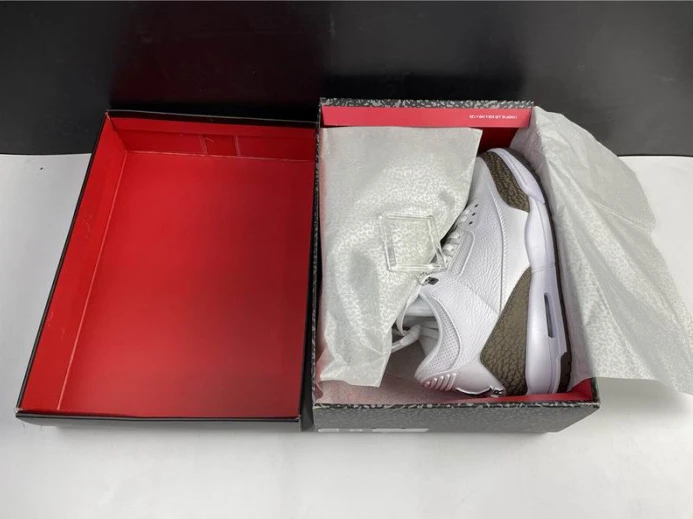 Air Jordan 3 Retro Mocha (2018) 136064- DailyWear 955