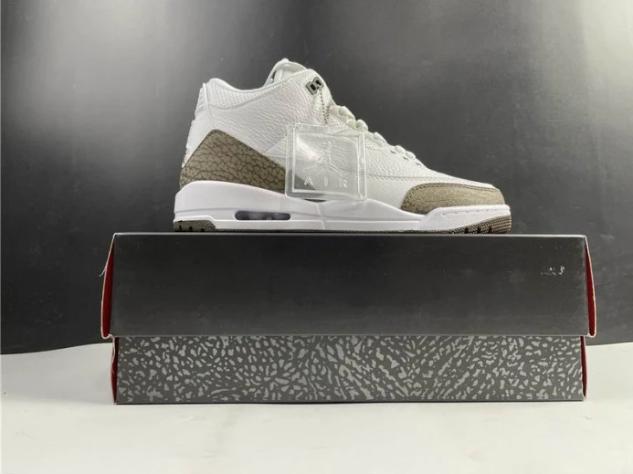 Air Jordan 3 Retro Mocha (2018) 136064- DailyWear 955
