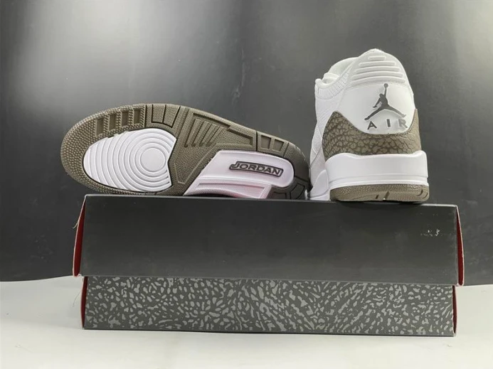 Air Jordan 3 Retro Mocha (2018) 136064- DailyWear 955