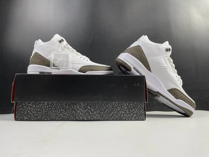 Air Jordan 3 Retro Mocha (2018) 136064- DailyWear 955
