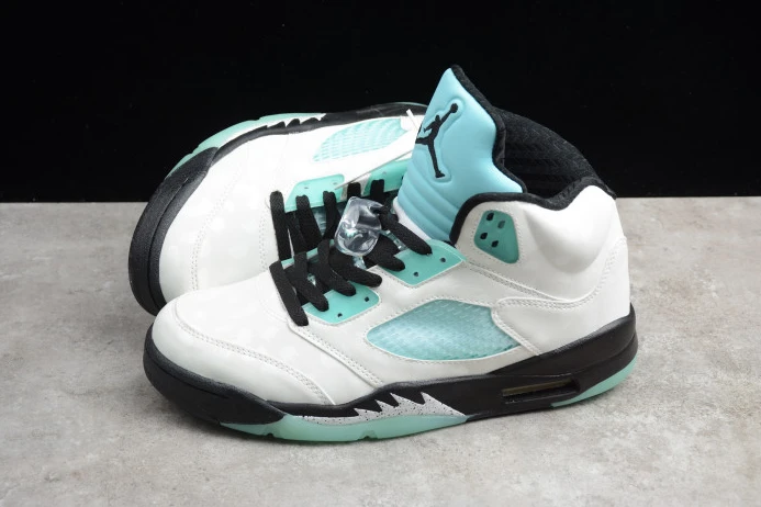 Air Jordan 5 Island Green CN2932- GoAnywhere 1087