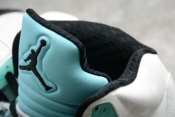 Air Jordan 5 Island Green CN2932- GoAnywhere 1087