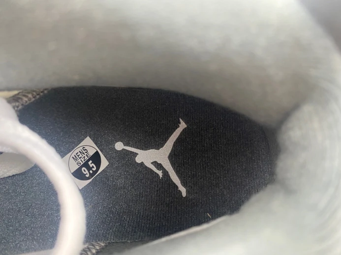 Air Jordan 6 Cool Grey CT8529- SportInspired 614