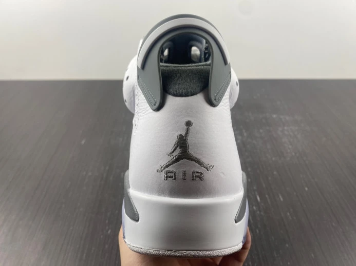 Air Jordan 6 Cool Grey CT8529- SportInspired 614