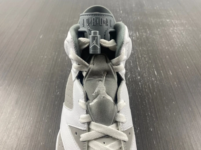 Air Jordan 6 Cool Grey CT8529- SportInspired 614
